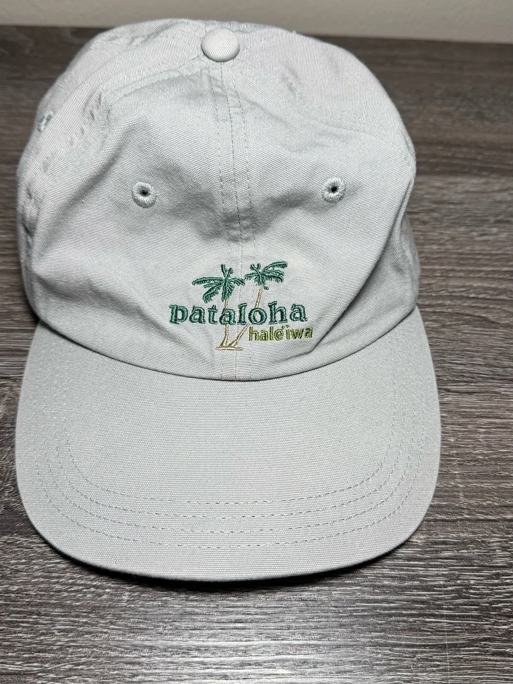 Patagonia Light Gray Baseball Cap with Green Stitching
